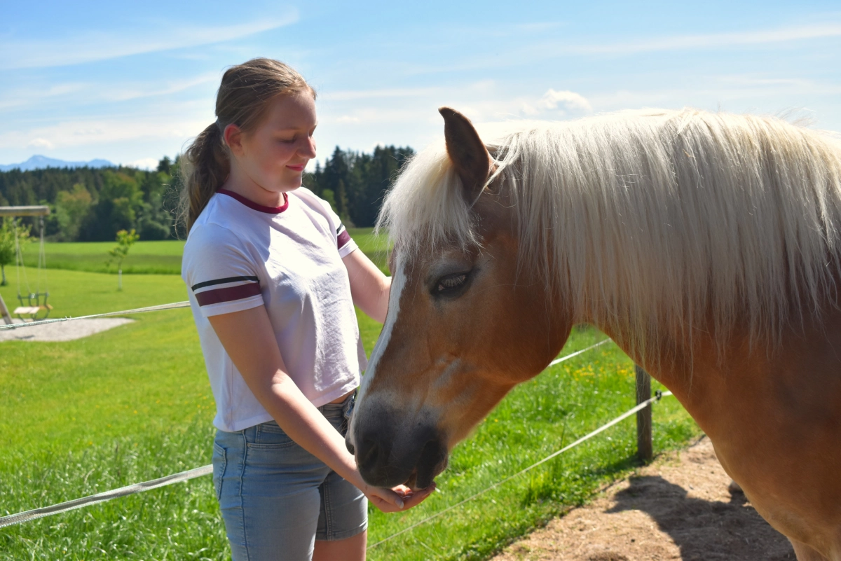 Mädchen striegelt Pferd