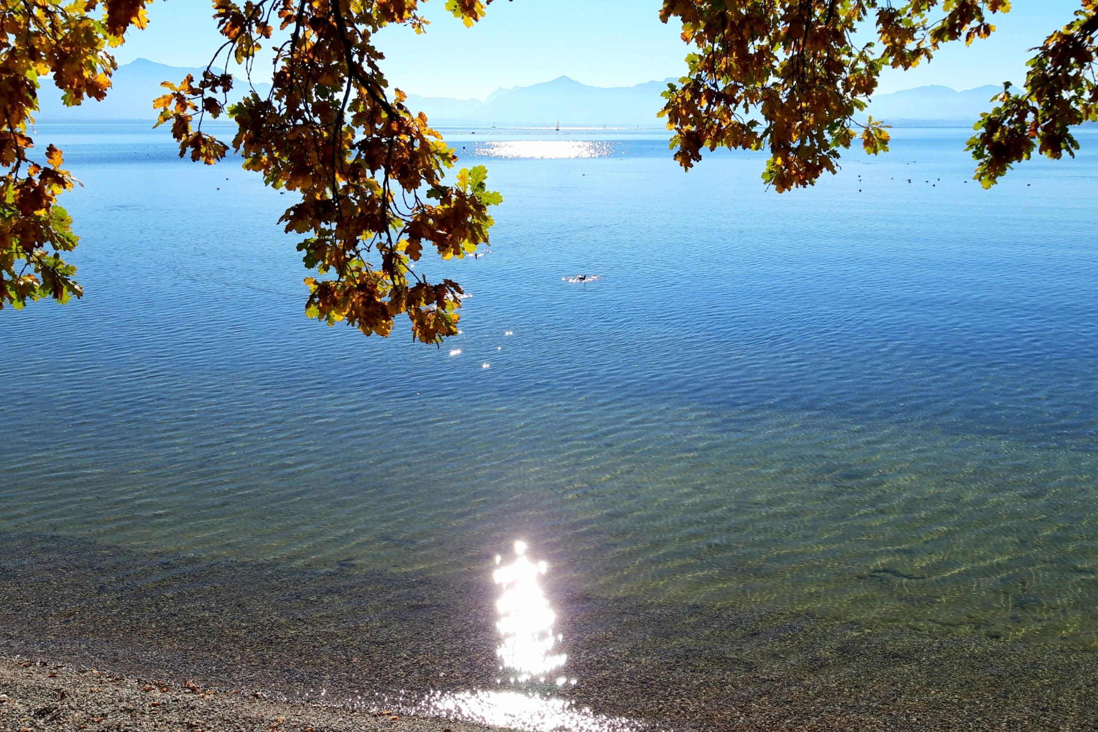 Chiemsee im Spätsommer