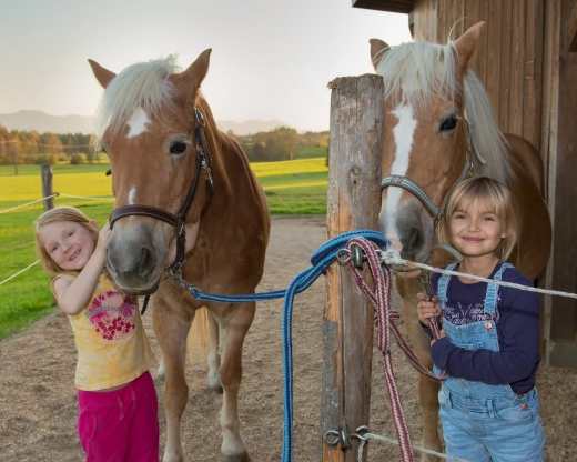 Kinder mit Pferden