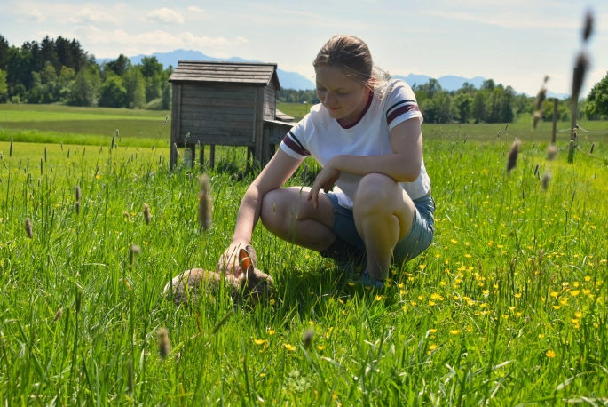 Mädchen streichelt Hasen im Feld