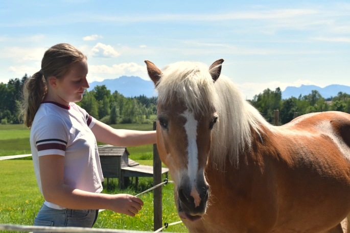 Mädchen striegelt Pferd