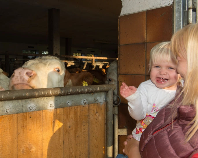 Kleines Kind vor Stall, Kuh im Hintergrund