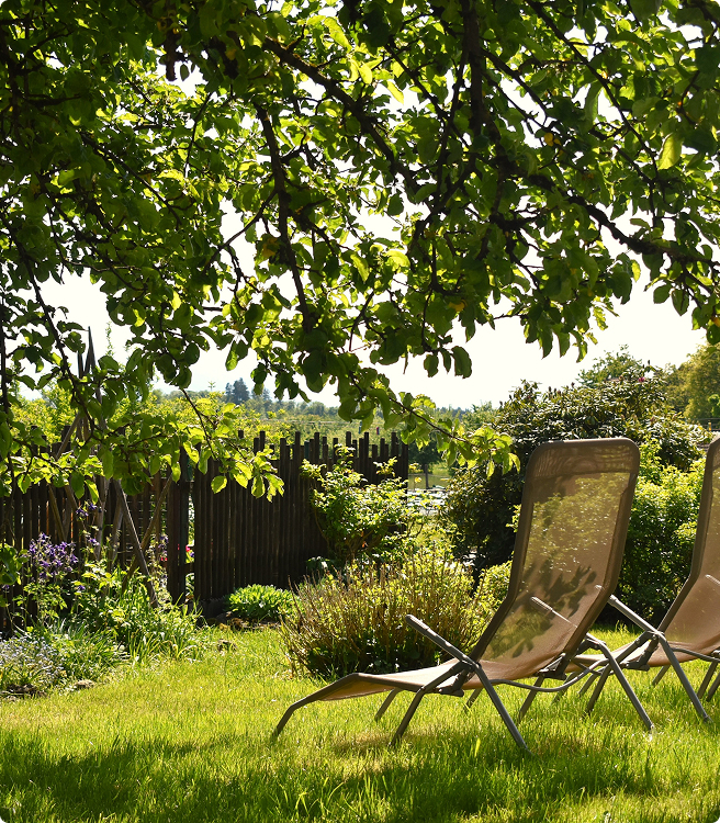 Bild zwei Liegen Ausblick in Natur